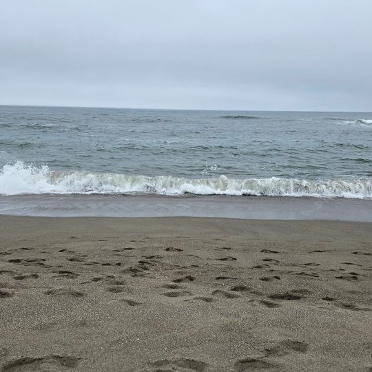South Salmon Creek Beach