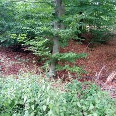 Keltenschanze Schönfeld