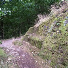 Roesesches Hölzchen