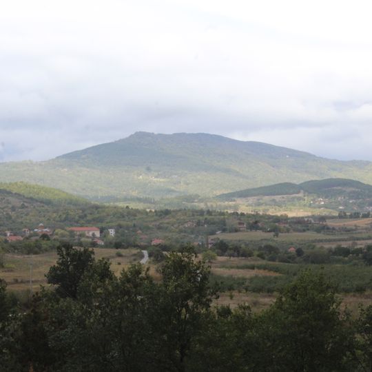 Vidojevica