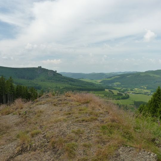 Ginsterkopf