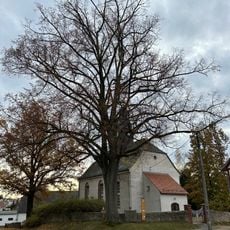 Linde an der Kirchhofsmauer