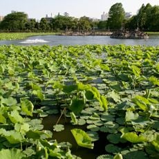 Shinobazu Pond