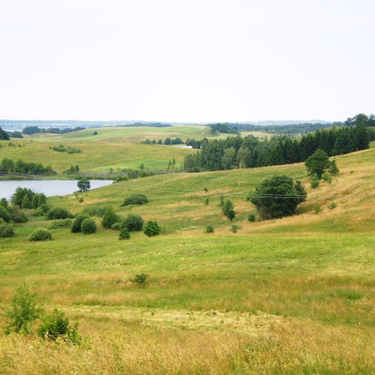 Comune distrettuale di Vilkaviškis