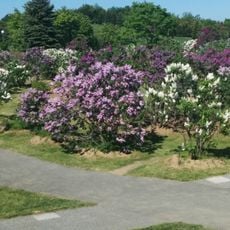 Kawashimo Park