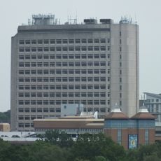 Export House
