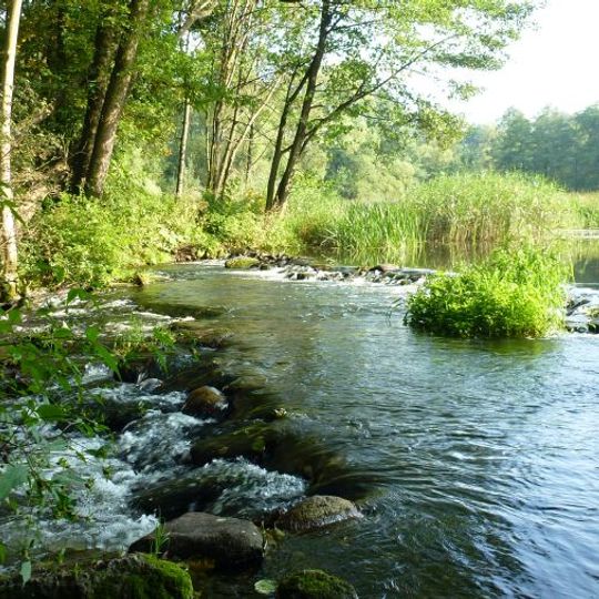 Warta-Widawka Landscape Park