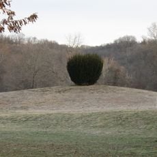 Short Woods Park Mound