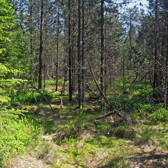 Podkovák Nature Reserve