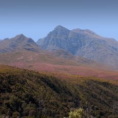 Grootvadersbosch Nature Reserve