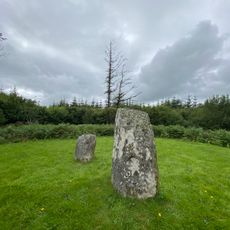 Clodagh Standing Stones