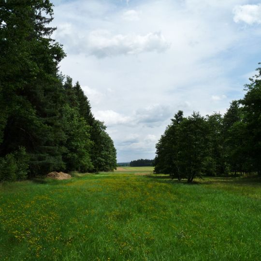 Rašelinná louka u Proseče-Obořiště