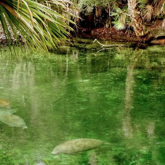 Blue Spring State Park
