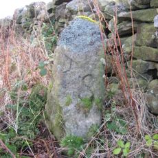 Donald's Grave, On South Side Of Road 10 Metres East Of Track To Slaley Hall