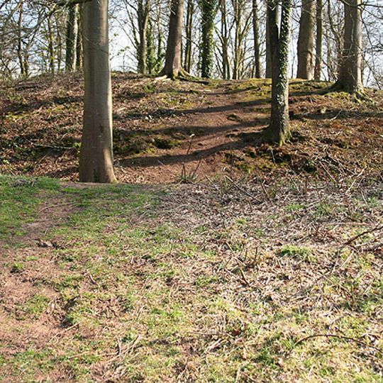 Dolbury Castle