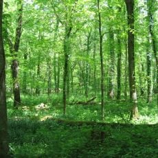 Otter Creek Outdoor Recreation Area