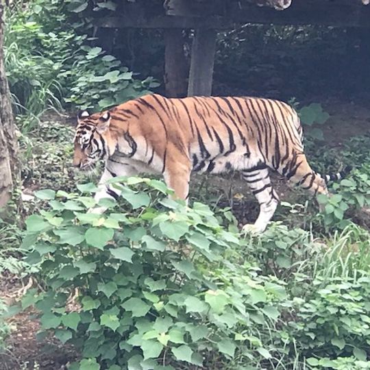 宁波野生动物园