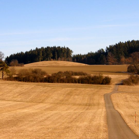 1 Eiche, Magdaleneneiche