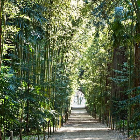 Bambouseraie de Prafrance