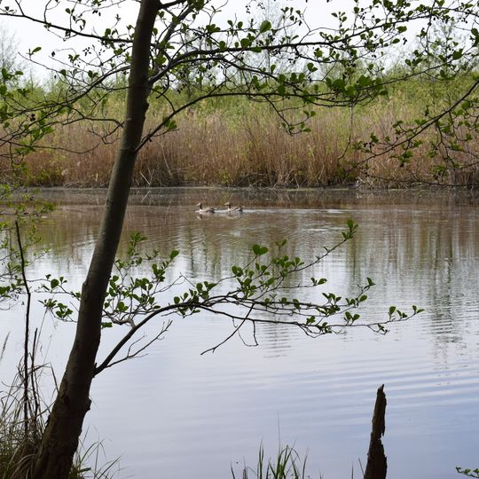 Große Freiheit bei Plaue