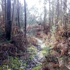‎Castro de Pico do Castro
