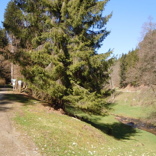 Köllbachtal mit Seitentälern