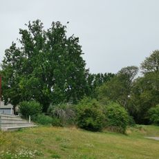 Naturdenkmal Stiel-Eiche im Blumberger Park