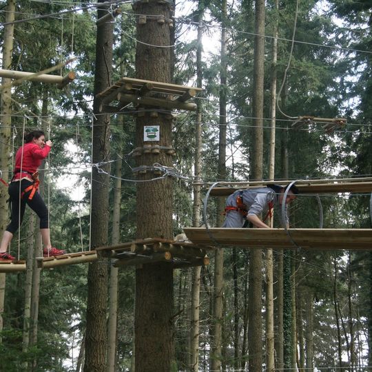 Acroforest