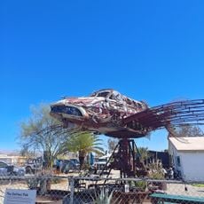 Da Vinci Fish