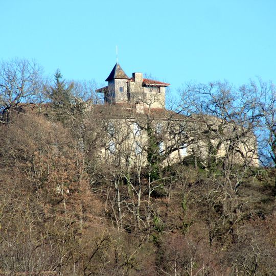 Montégut-en-Couserans Castle