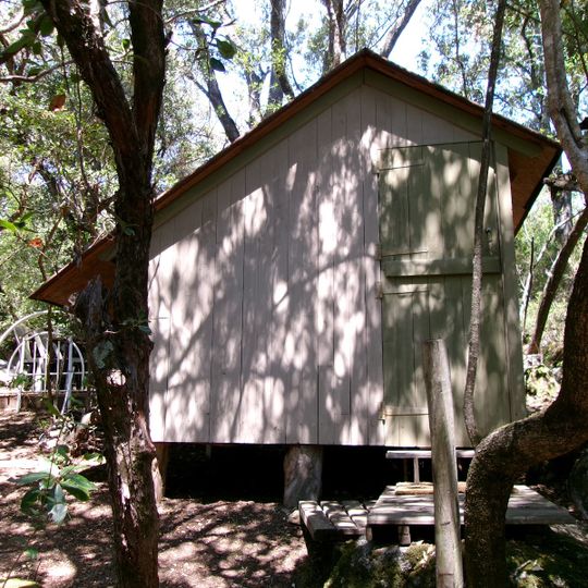 Camping  Simple Nature