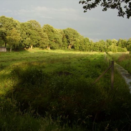 Bargsmoor/ Rechtenflethermoor