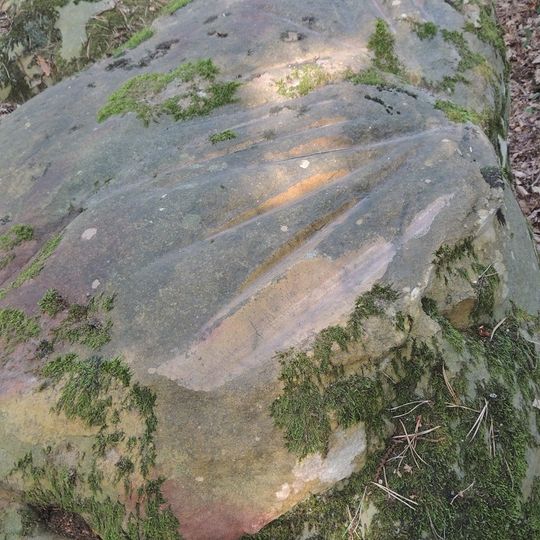 Polissoirs du Bois des Coudres