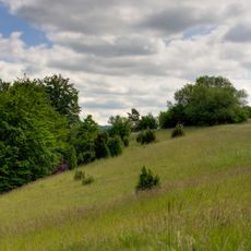 NSG Eschweiler Tal und Kalkkuppen