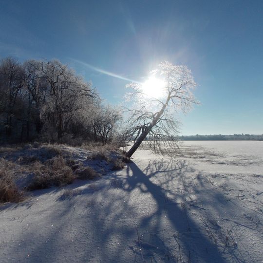 Tamarac National Wildlife Refuge