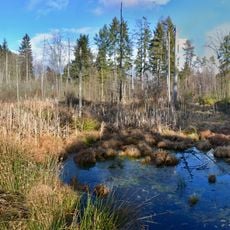 Dornacher Ried mit Häckler Ried, Häckler Weiher und Buchsee