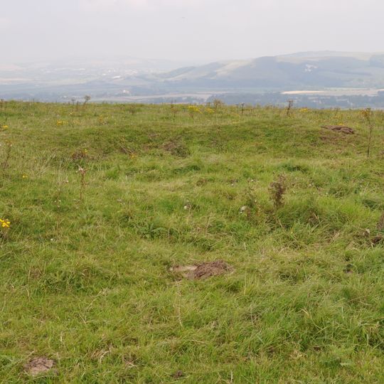 A saucer barrow, a bowl barrow and a pair of hlaews 350m north west of Overhill Lodge