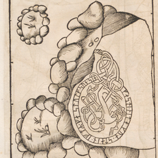 Uppland Runic Inscription 244