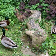 La baigneuse de soleil se retournant