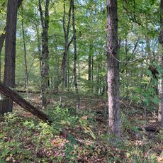 Harry "Babe" Woodyard State Natural Area