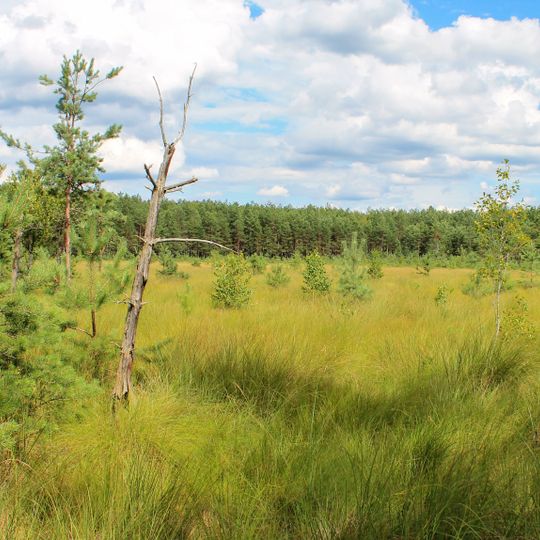 Zalavskyi Nature Reserve