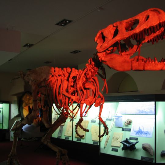 Vyatka paleonthologic museum