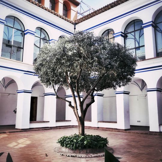 Convent of Saint Francis of Padua