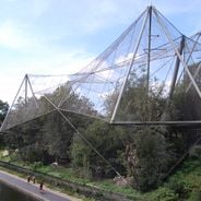 Ogrody zoologiczne i parki dzikich zwierząt w Europie