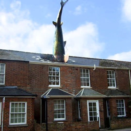 Headington Shark