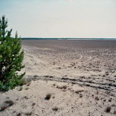 Lieberose Desert