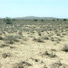 State wildlife sanctuary "Nurobod"