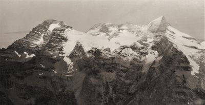 Immagine alternativa