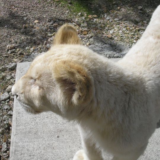 Parc zoologique de Jurques