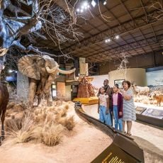 Anniston Museum of Natural History